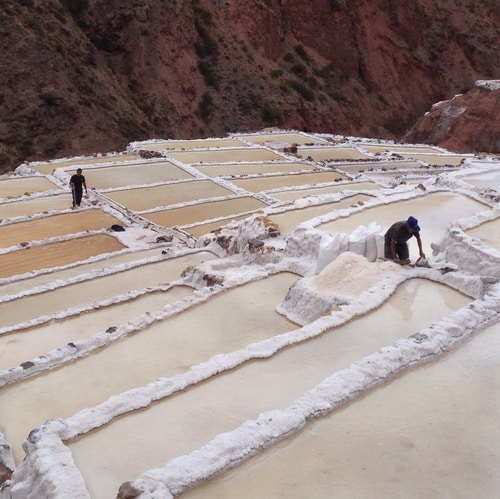 Sacred Valley locals harvesting salt by hand from Salineras de Maras