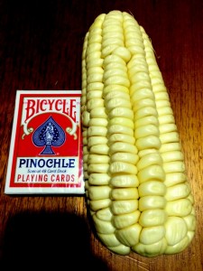 large kernels of Peruvian corn