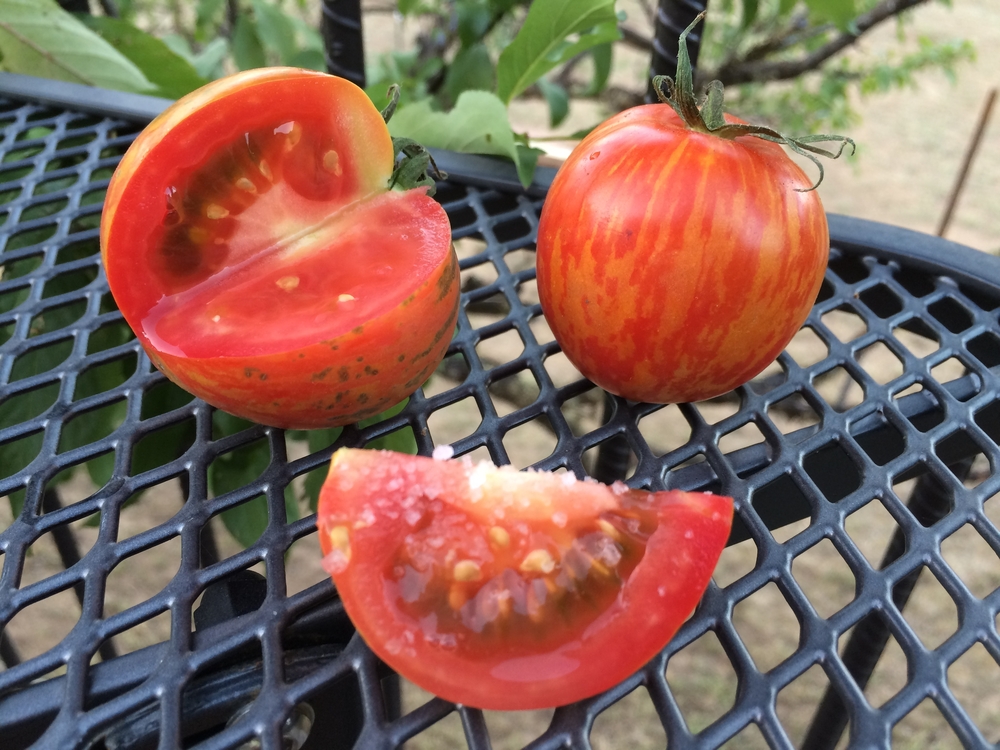 Heirloom Tomatoes and Coarse Salt