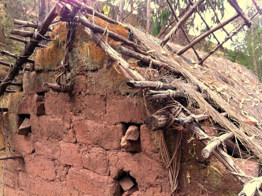 A thatched rood adobe structure.  The decayed thatching reveals the internal structure.