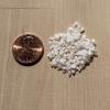 Grains of extra-coarse grinder salt shown next to a penny for size reference